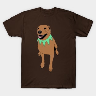 Grateful Dawg Orange T-Shirt